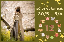 Tử vi tuần mới của 12 con giáp 30/5-5/6: Sửu tài lộc tuột dốc, Tuất sự nghiệp tiến triển tốt