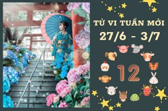 Tử vi tuần mới của 12 con giáp 27/6-3/7: Tỵ vận tài lộc kém, Dậu sự nghiệp vượng