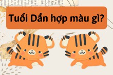 Tuổi Dần hợp màu gì: Chọn màu phong thủy để tài vận thêm hanh thông