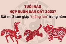Tuổi nào hợp buôn bán đất 2022? Bật mí 3 con giáp ‘thắng lớn’ trong năm