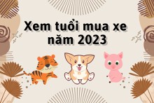 Xem tuổi mua xe năm 2023: 3 con giáp rủng rỉnh tiền bạc, thích hợp ‘tậu xế’ mới