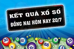 KQXSDN - Kết quả xổ số Đồng Nai hôm nay Thứ Tư 20/7/2022: Giải đặc biệt 231866