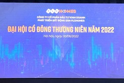 FLCHomes đại hội lần một bất thành