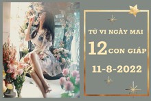 Tử vi ngày mai của 12 con giáp 11/8/2022: Mão tài lộc bấp bênh, Dậu công việc khởi sắc