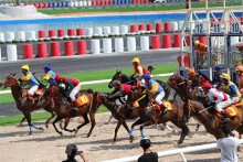 Ba dự án trường đua ngựa tại Phú Yên, Lâm Đồng và Vĩnh Phúc chưa được triển khai