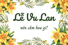 Lễ Vu Lan nên cắm hoa gì trên bàn thờ Phật, bàn thờ gia tiên?