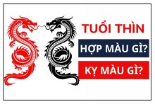 Tuổi Thìn hợp màu gì? Chọn màu phong thủy để vạn sự hanh thông, may mắn