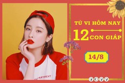 Tử vi hàng ngày hôm nay của 12 con giáp 14/8/2022: Ngọ tình duyên gập ghềnh, Tý tài lộc ảm đạm