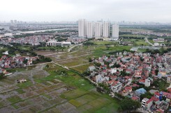 Đấu giá 28 thửa đất liền kề tại huyện Đông Anh, khởi điểm từ 33,8 triệu đồng/m2