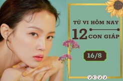 Tử vi hàng ngày hôm nay của 12 con giáp 16/8/2022: Thân tình cảm trúc trắc, Dần tài lộc ổn định