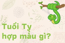 Tuổi Tỵ hợp màu gì: Chọn màu kích tài lộc, thúc đẩy thăng tiến