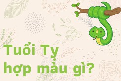 Tuổi Tỵ hợp màu gì: Chọn màu kích tài lộc, thúc đẩy thăng tiến