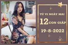 Tử vi ngày mai của 12 con giáp 19/8/2022: Thân tài lộc không đáng lo, Tỵ công việc khởi sắc