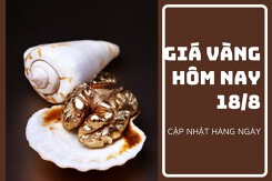 Giá vàng hôm nay 18/8: Chủ yếu ghi nhận xu hướng giảm từ 50.000 đồng/lượng đến 200.000 đồng/lượng