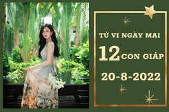 Tử vi ngày mai của 12 con giáp 20/8/2022: Hợi tài lộc sa sút, Ngọ tình yêu bấp bênh