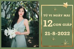 Tử vi ngày mai của 12 con giáp 21/8/2022: Tuất tài lộc tuột dốc, Mão sự nghiệp tốt xấu đan xen