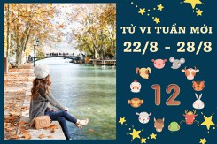 Tử vi tuần mới của 12 con giáp từ 22/8 đến 28/8: Sửu tài lộc rực rỡ, Hợi sự nghiệp kém may