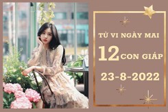 Tử vi ngày mai của 12 con giáp 23/8/2022: Mùi tài lộc gặp may, Tý công việc thoải mái
