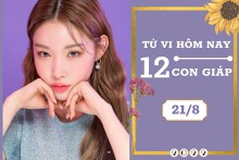 Tử vi hàng ngày hôm nay của 12 con giáp 21/8/2022: Sửu tài lộc sa sút, Mùi tình duyên sóng gió