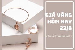 Giá vàng hôm nay 23/8: Đồng loạt đi ngang trên toàn quốc