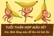 Tuổi Thân hợp màu gì? Xác định đúng màu để thu tài hút lộc
