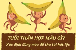 Tuổi Thân hợp màu gì? Xác định đúng màu để thu tài hút lộc