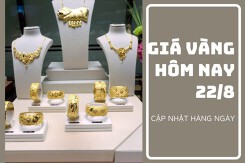 Giá vàng hôm nay 22/8: Điều chỉnh giảm từ 50.000 đồng/lượng đến 100.000 đồng/lượng trong sáng đầu tuần