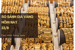 So sánh giá vàng hôm nay 23/8: Vàng trong nước giảm từ 30.000 đồng/lượng đến 100.000 đồng/lượng