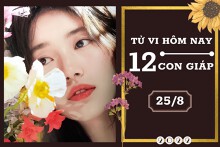 Tử vi hàng ngày hôm nay của 12 con giáp 25/8/2022: Tỵ tài lộc ảm đạm, Hợi tình cảm khởi khắc