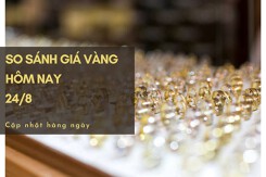 So sánh giá vàng hôm nay 24/8: Vàng SJC tăng trở lại, lên mức 67,12 triệu đồng/lượng