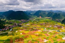 Thành lập Hội đồng điều phối vùng trung du và miền núi phía Bắc giai đoạn 2021 – 2025