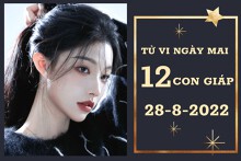Tử vi ngày mai của 12 con giáp 28/8/2022: Dần vượng tài lộc, Tuất tình yêu tẻ nhạt