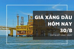 Giá xăng dầu hôm nay 30/8: Quay đầu tăng gần 2% sau phiên giảm hôm qua