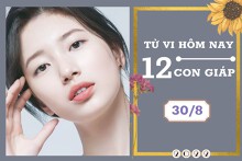Tử vi hàng ngày hôm nay của 12 con giáp 30/8/2022: Tuất tình cảm đi xuống, Thìn tài lộc thuận phát