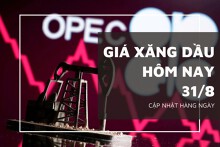 Giá xăng dầu hôm nay 31/8: Giảm mạnh, dao động quanh mức 76.230 JPY/thùng