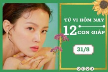 Tử vi hàng ngày hôm nay của 12 con giáp 31/8/2022: Hợi sự nghiệp suôn sẻ, Tỵ tài lộc tăng tiến