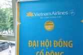 Kiểm toán nói gì về khả năng hoạt động liên tục của Vietnam Airlines?