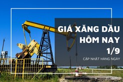 Giá xăng dầu hôm nay 1/9: Tiếp đà giảm hơn 1% trên sàn Tokyo