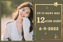 Tử vi ngày mai của 12 con giáp 6/9/2022: Mùi may mắn tài lộc, Tý tình cảm trôi chảy