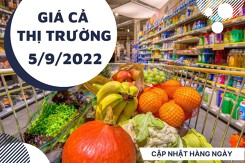 Giá cả thị trường hôm nay 5/9/2022: Nhiều loại trái cây nội địa giảm giá trong đầu tuần
