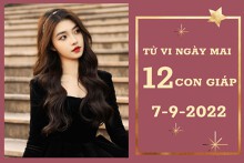 Tử vi ngày mai của 12 con giáp 7/9/2022: Sửu tài lộc vượng tiến, Tuất tình cảm ổn thỏa