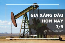 Giá xăng dầu hôm nay 7/9: Giảm nhẹ trở lại sau một ngày tăng