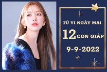 Tử vi ngày mai của 12 con giáp 9/9/2022: Tý tài lộc tăng tiến, Ngọ tình yêu đôi lứa vượng sắc