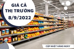 Giá cả thị trường hôm nay 8/9/2022: Rau củ quả tươi xanh được bán với giá cả hợp lý