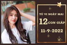Tử vi ngày mai của 12 con giáp 11/9/2022: Tỵ tài lộc tốt đẹp, Hợi công việc trục trặc