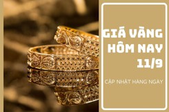 Giá vàng hôm nay 11/9: Vàng SJC tăng 300.000 đồng/lượng đồng/lượng trong tuần qua