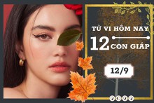 Tử vi hàng ngày hôm nay của 12 con giáp 12/9/2022: Hợi tài lộc tăng tiến, Tỵ sự nghiệp trắc trở