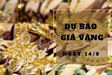 Dự báo giá vàng 14/9: Duy trì xu hướng biến động trái chiều?