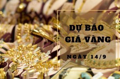 Dự báo giá vàng 14/9: Duy trì xu hướng biến động trái chiều?