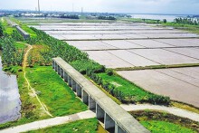 Bộ GTVT sẽ kiến nghị đầu tư đường sắt Yên Viên - Phả Lại - Hạ Long - Cái Lân